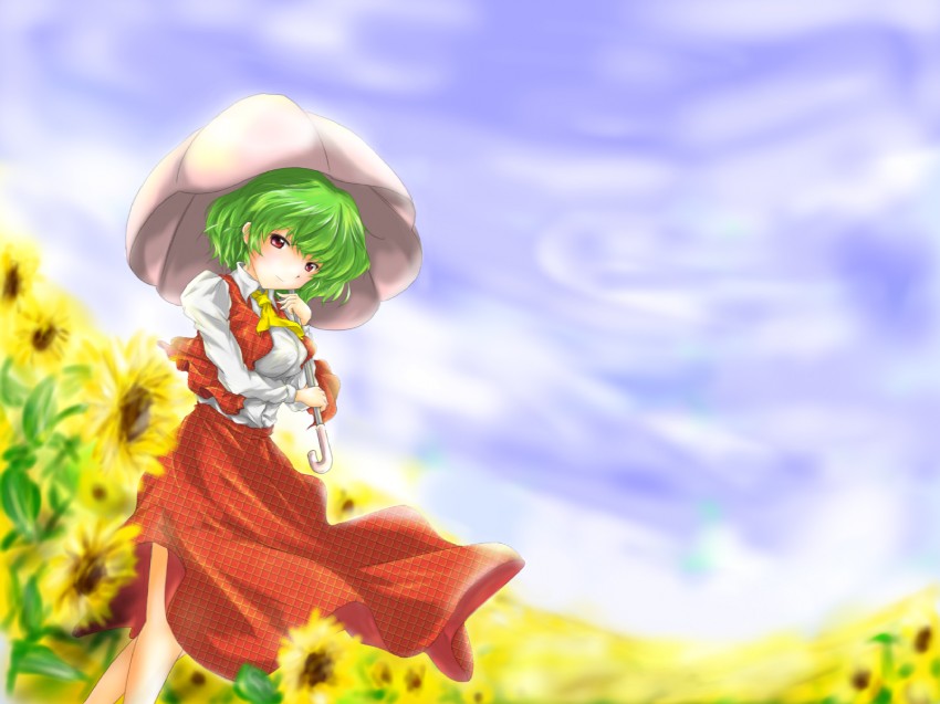 kazami yuuka (touhou) drawn by red_star_(toranecomet)