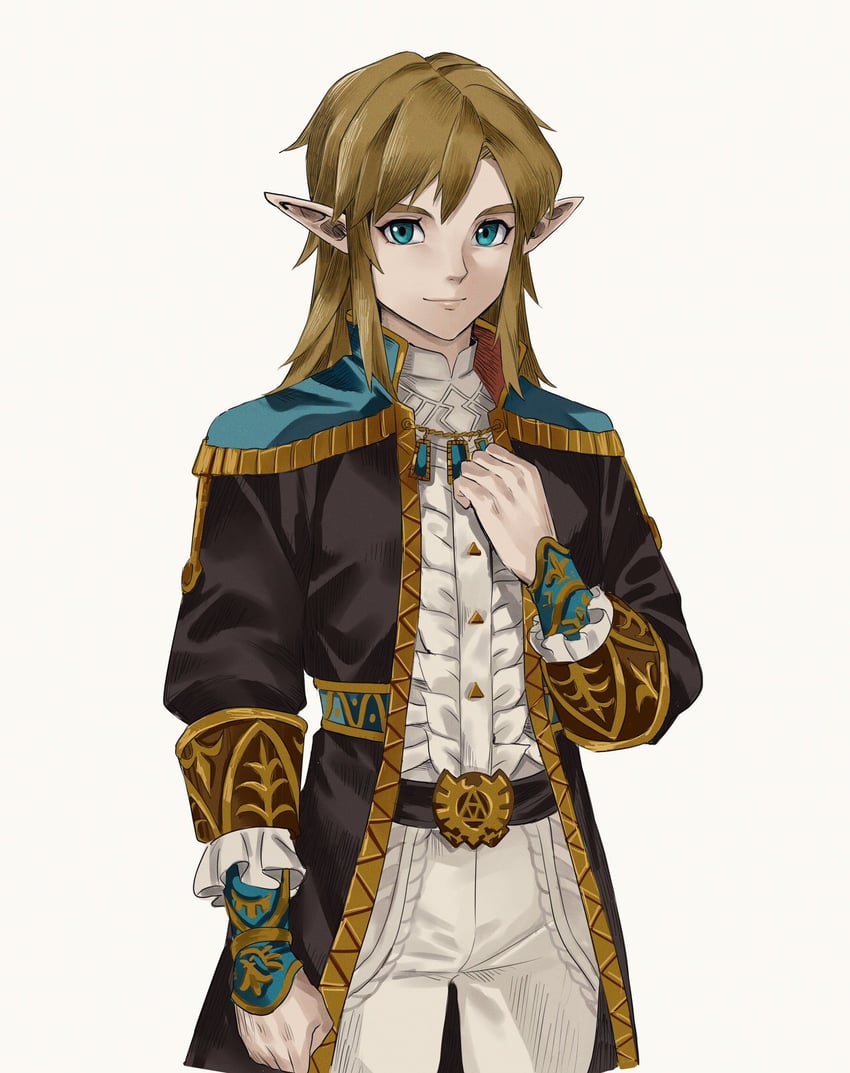 link (the legend of zelda and 1 more) drawn by sushisalmon95