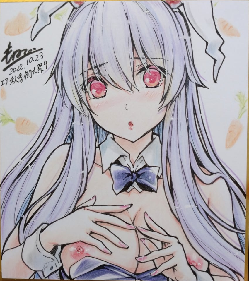 reisen udongein inaba (touhou) drawn by monety