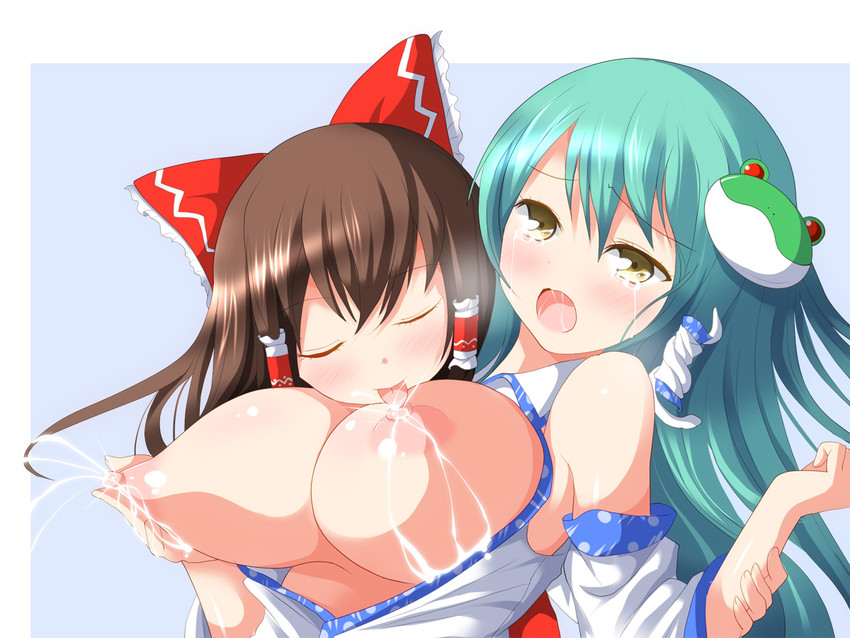 hakurei reimu and kochiya sanae (touhou) drawn by deego_(omochi_bazooka)