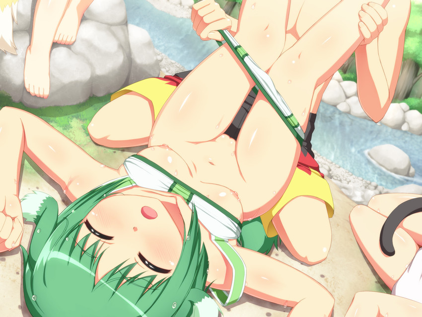 yukikaze panettone, eclair martinozzi, cinque izumi, and noir vinocacao (dog days) drawn by tachimi_(basue)