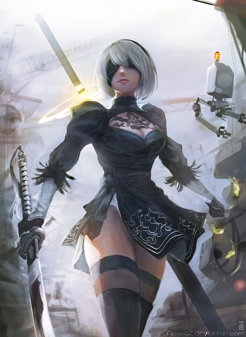 2b and 9s (nier and 1 more) drawn by aimedz