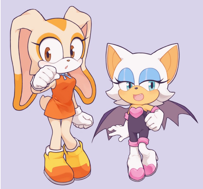 rouge the bat and cream the rabbit (sonic) drawn by robot(pixiv_42325944) B...