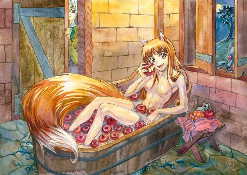 holo and craft lawrence (spice and wolf) drawn by saikonoo