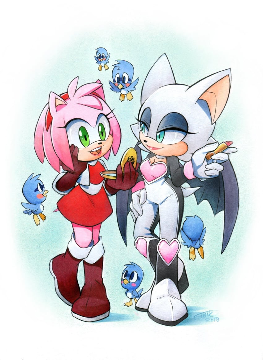 amy rose and rouge the bat (sonic) drawn by finik