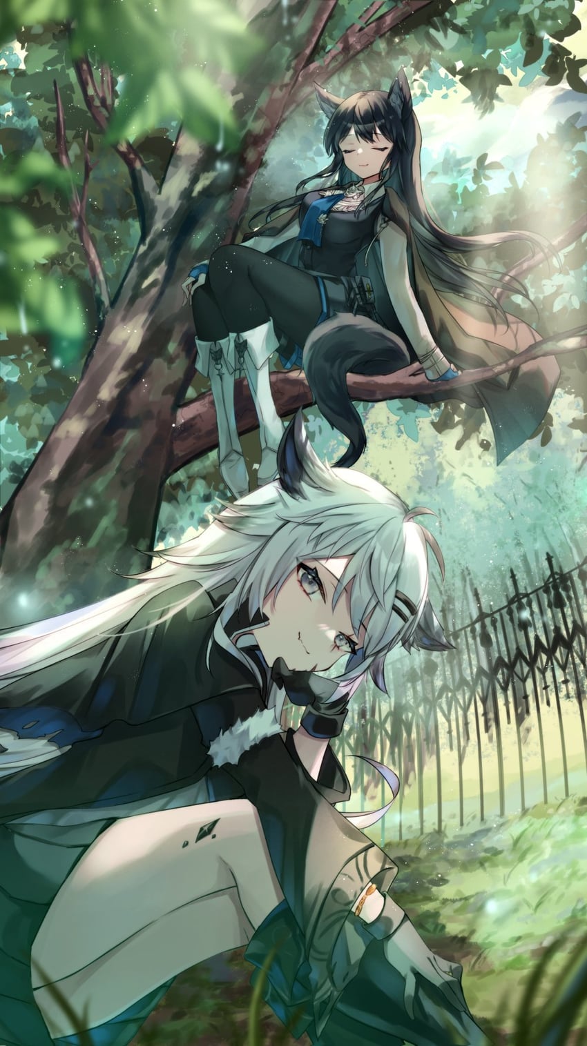 texas, lappland, and texas the omertosa (arknights) drawn by saiko_(saisaka)