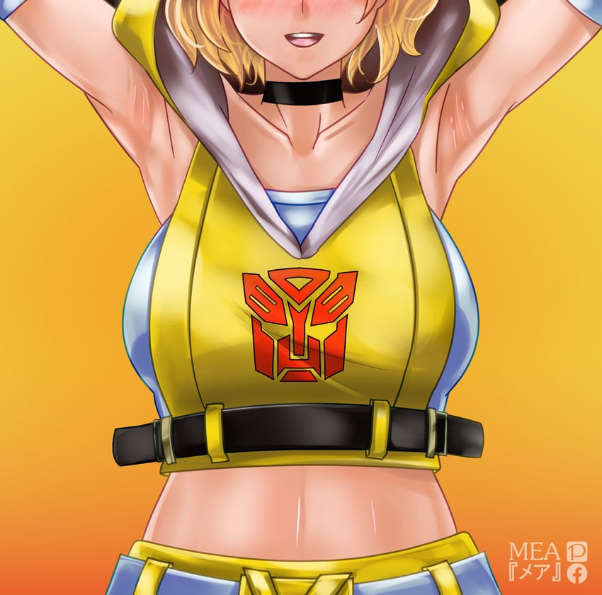 bumblebee (transformers and 1 more) drawn by mea_(manami030)