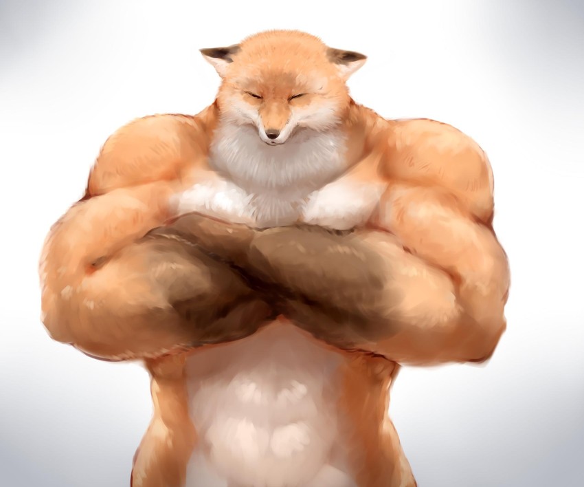 muscle fox (original) drawn by sukemyon
