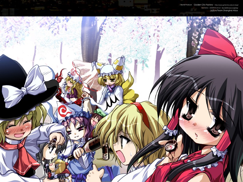 hakurei reimu, kirisame marisa, konpaku youmu, alice margatroid, yakumo yukari, and 4 more (touhou) drawn by akahito