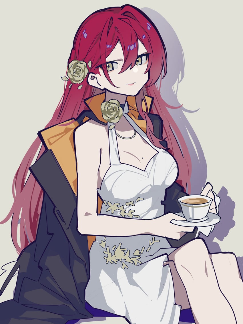 himeko (honkai and 1 more) drawn by vixsi_art