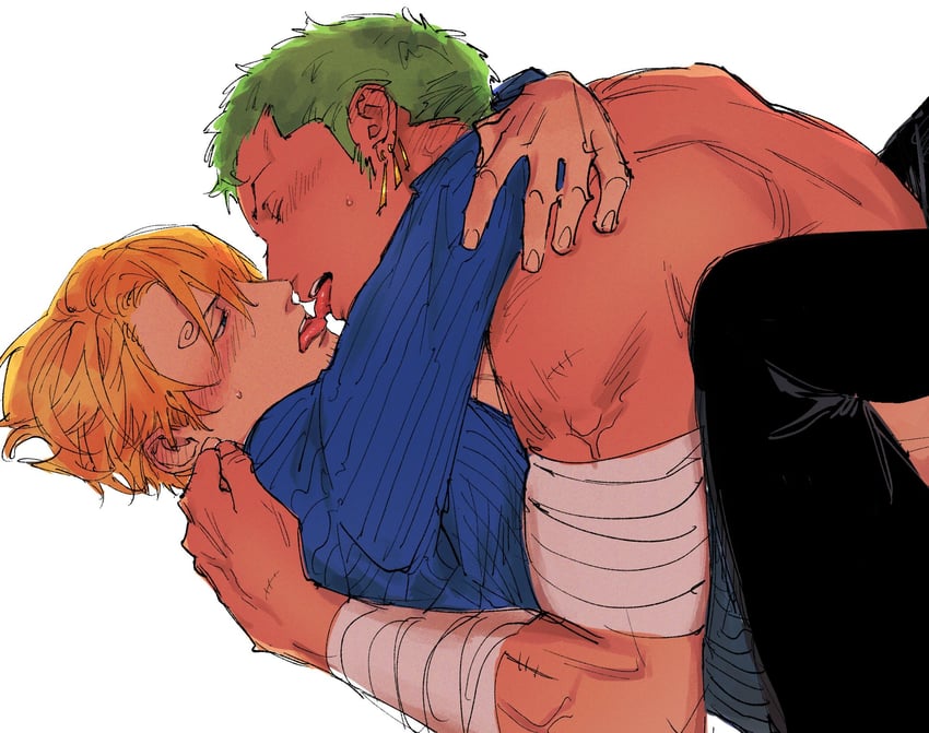 roronoa zoro and sanji (one piece) drawn by kzwtr8