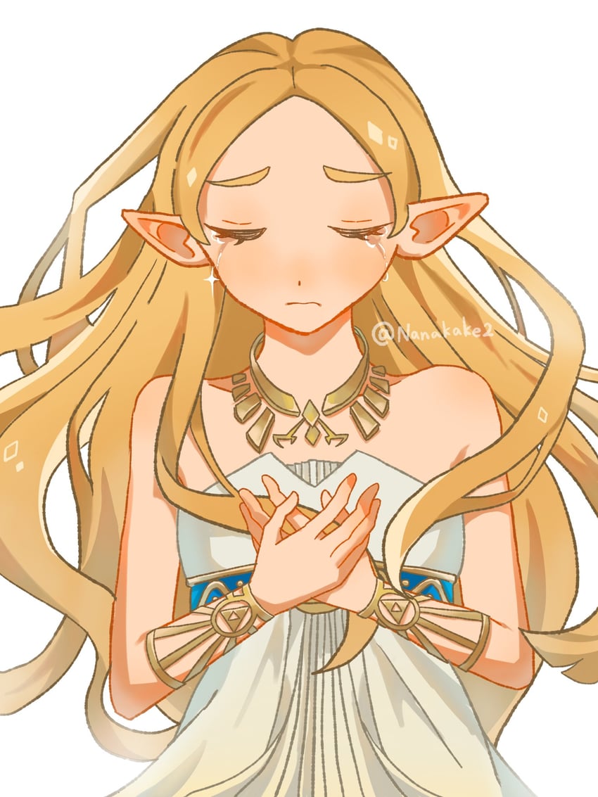 princess zelda (the legend of zelda and 1 more) drawn by nameko_(nanakake2)