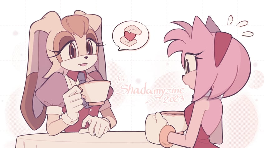 amy rose and vanilla the rabbit (sonic) drawn by bz_shawn