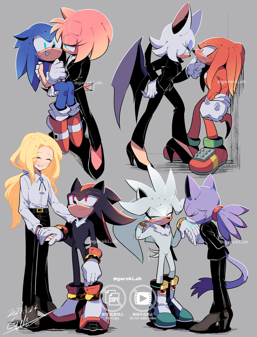 sonic the hedgehog, shadow the hedgehog, amy rose, blaze the cat, rouge the bat, and 3 more (sonic and 1 more) drawn by gareki_sh