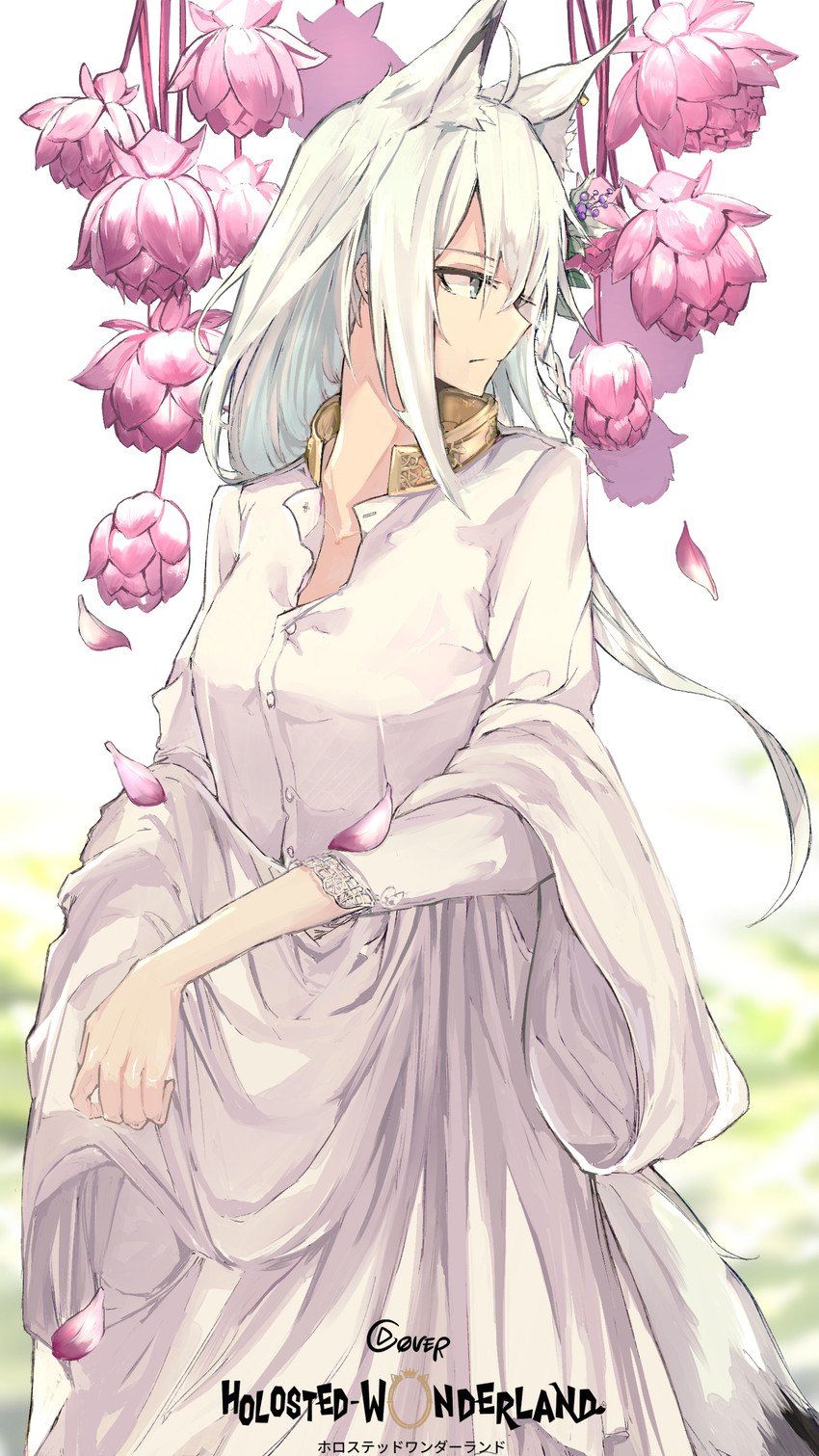 shirakami fubuki (hololive and 1 more) drawn by tsumeki