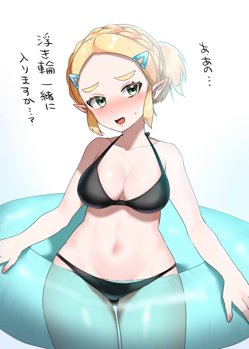 princess zelda (the legend of zelda and 1 more) drawn by wasabi_(legemd)
