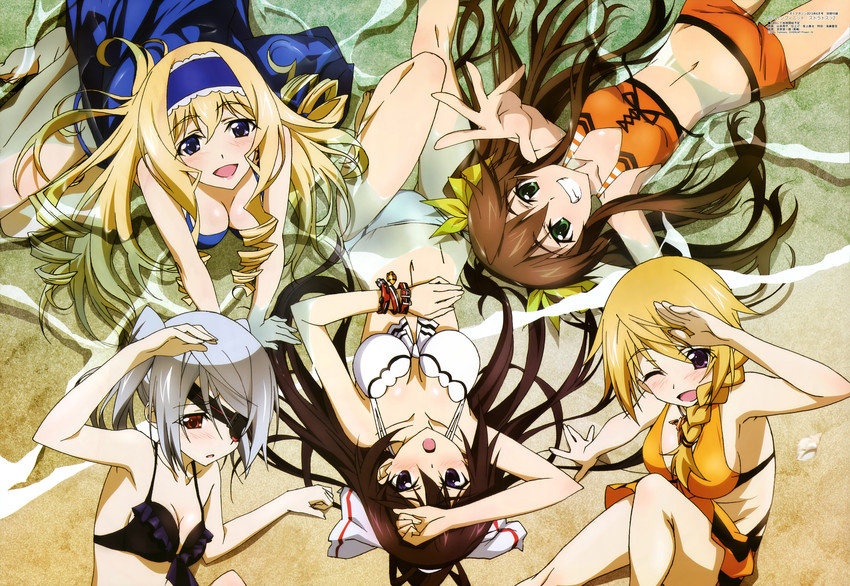 charlotte dunois, cecilia alcott, laura bodewig, shinonono houki, and huang lingyin (megami magazine and 1 more) drawn by yamamoto_shuuhei