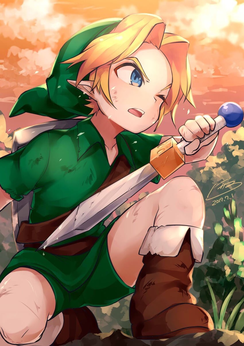 link and young link (the legend of zelda and 2 more) drawn by niyama_n