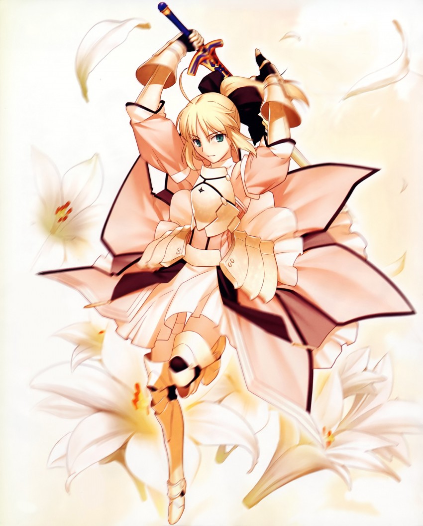 artoria pendragon and saber lily (fate and 1 more)