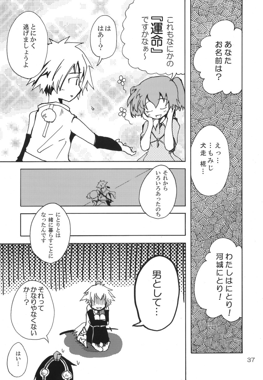 shameimaru aya, inubashiri momiji, and kawashiro nitori (touhou) drawn by maturiuta_sorato
