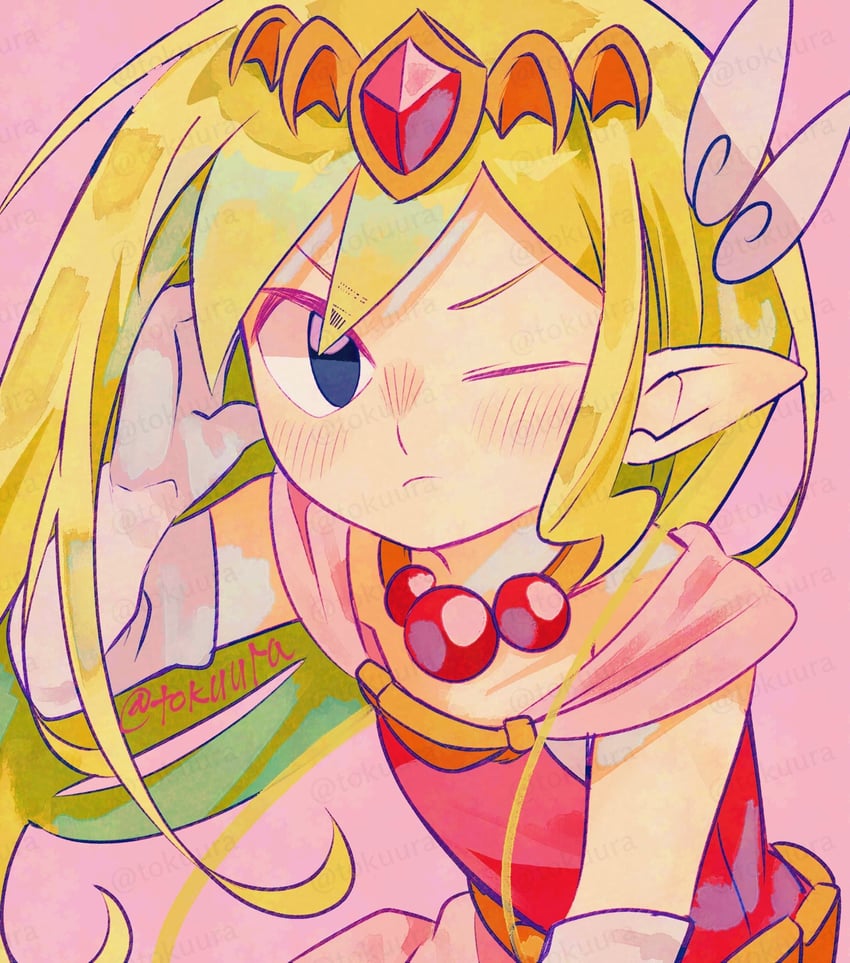 princess zelda and toon zelda (the legend of zelda and 3 more) drawn by tokuura