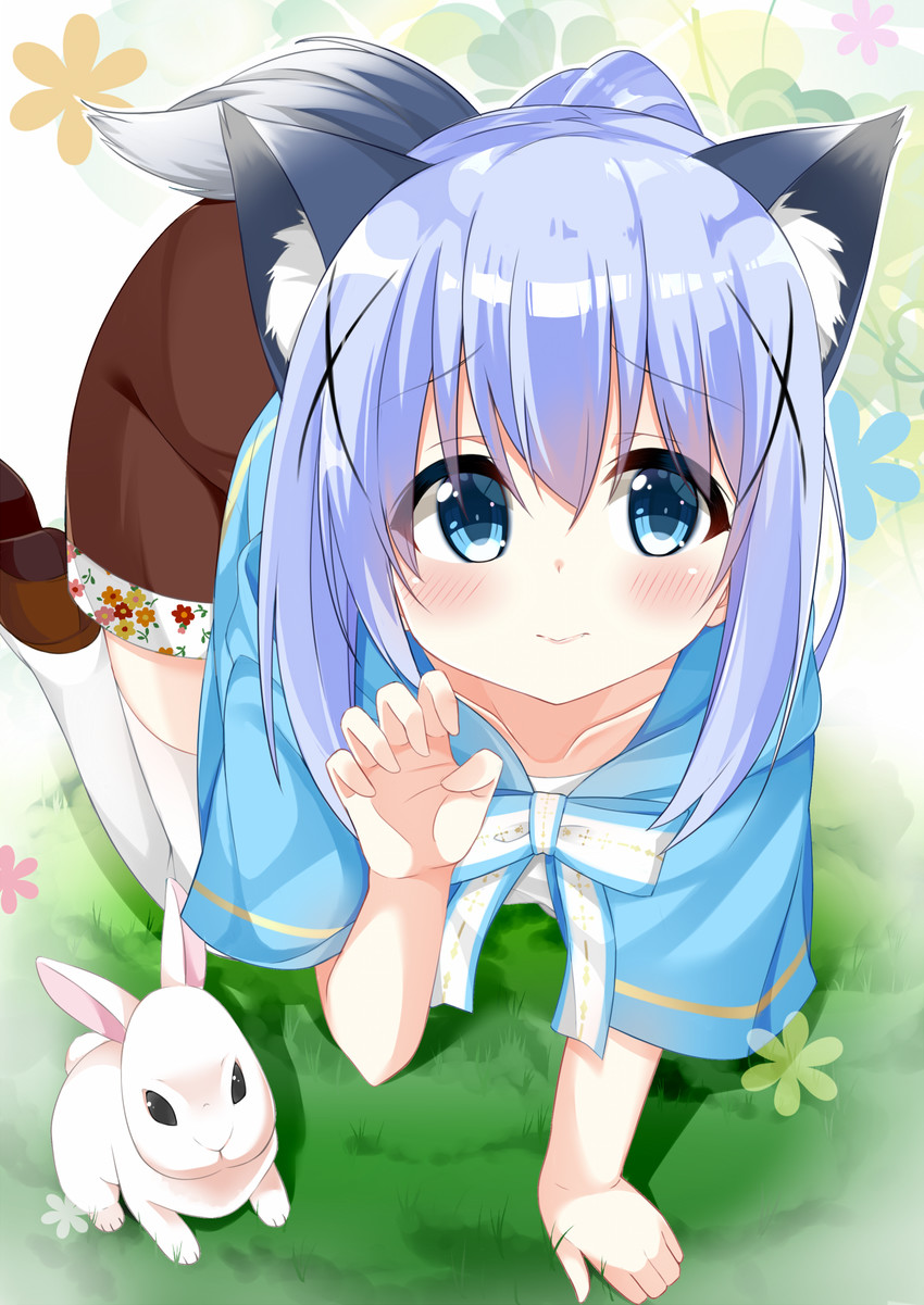 kafuu chino (gochuumon wa usagi desu ka?) drawn by cacao_(chocolat)