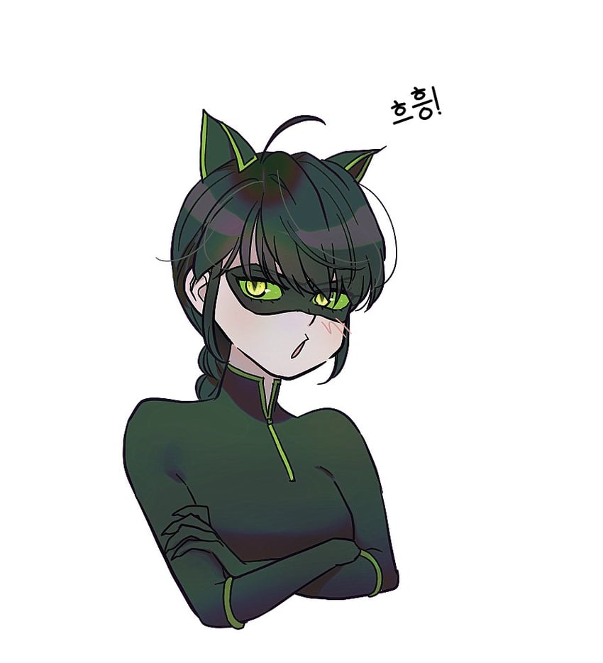 marinette dupain-cheng and lady noir (miraculous ladybug) drawn by lb_black22