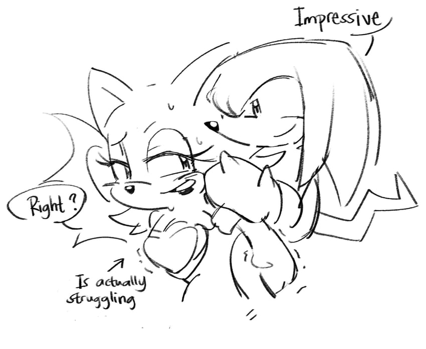rouge the bat and knuckles the echidna (sonic) drawn by fishsoof