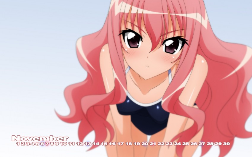louise francoise le blanc de la valliere (zero no tsukaima) drawn by sugimura_tomokazu