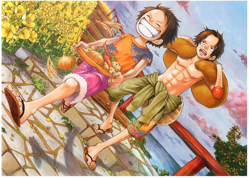 monkey d. luffy and portgas d. ace (one piece) drawn by kara_(acluf-0156)