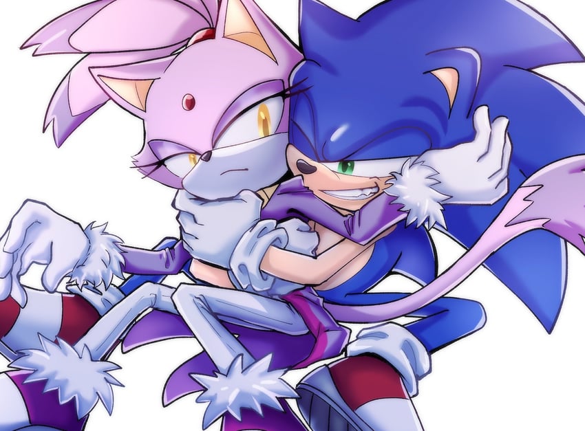 sonic the hedgehog and blaze the cat (sonic) drawn by zanthi_aaan