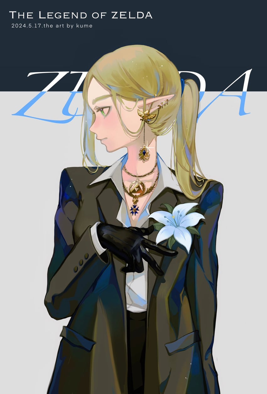 princess zelda (the legend of zelda and 2 more) drawn by jiuminene