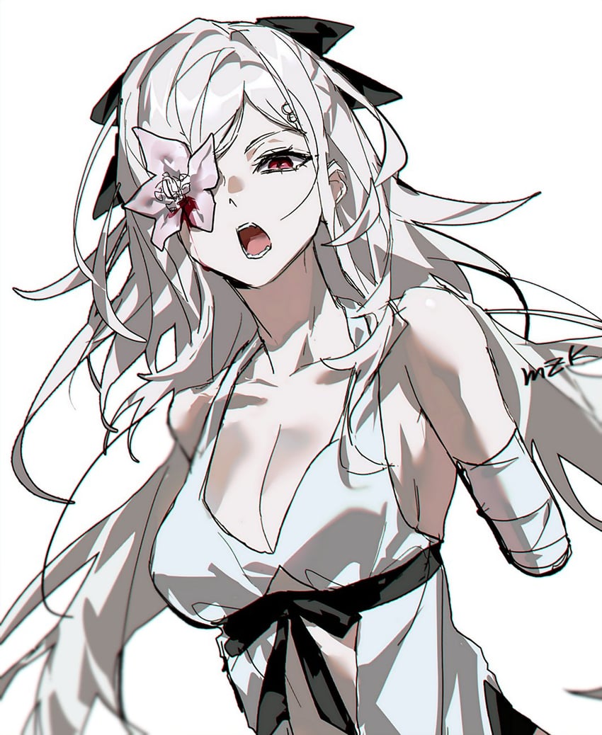 zero (drag-on dragoon and 1 more) drawn by zemzk