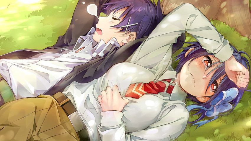 tsugumi seishirou and ichijou raku (nisekoi) drawn by kawai_makoto