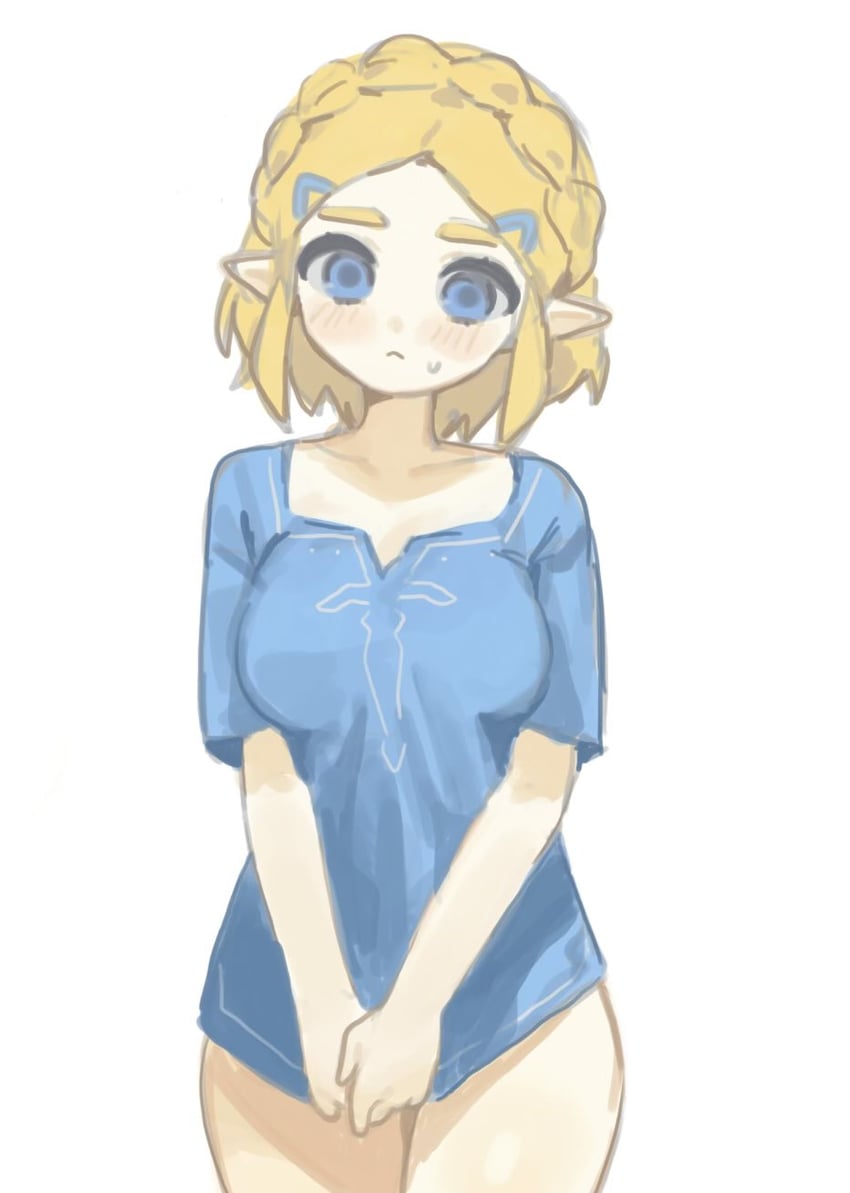 princess zelda (the legend of zelda and 1 more) drawn by relen