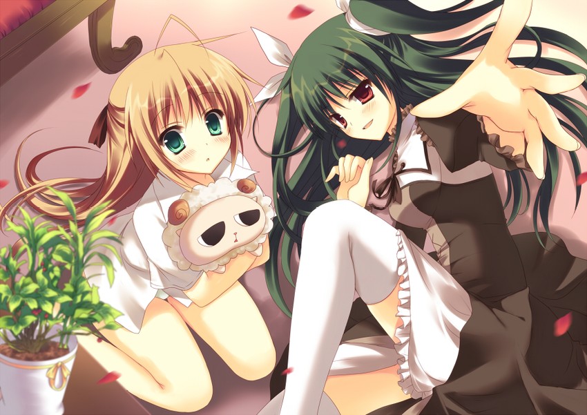konoe subaru and suzutsuki kanade (mayo chiki!) drawn by asakura_hayate