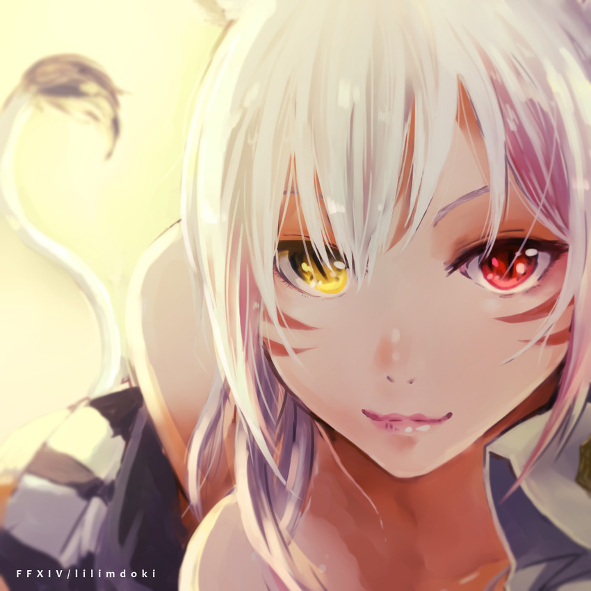 warrior of light (final fantasy and 1 more) drawn by lili_mdoki