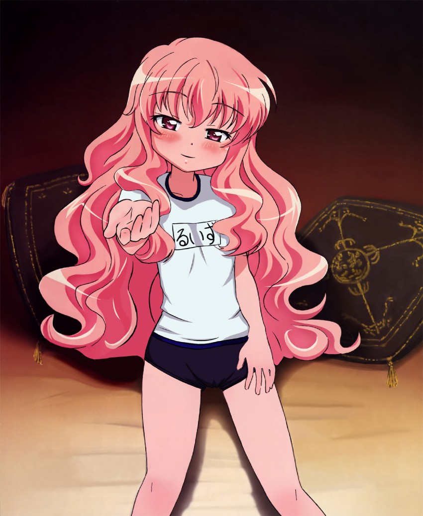 louise francoise le blanc de la valliere (zero no tsukaima)