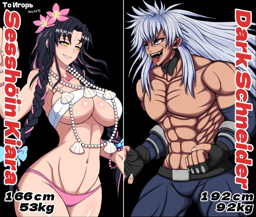 sessyoin kiara and dark schneider (fate and 2 more) drawn by wade99