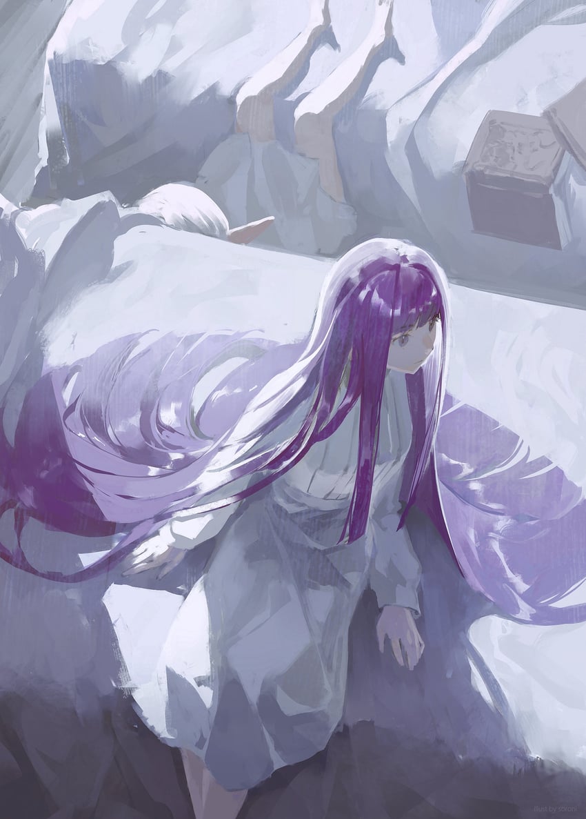 frieren and fern (sousou no frieren) drawn by sorrowny