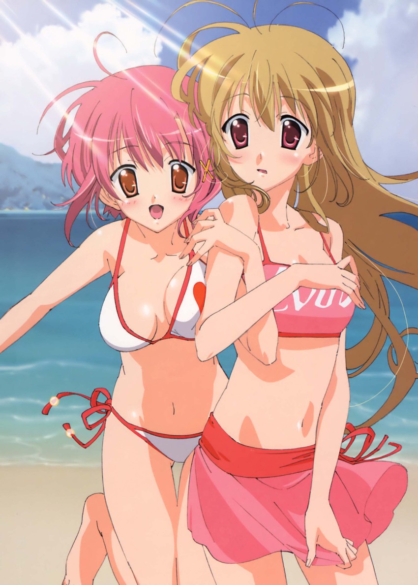 miyanokouji mizuho and mikado mariya (otome wa boku ni koishiteru) drawn by shimazawa_noriko