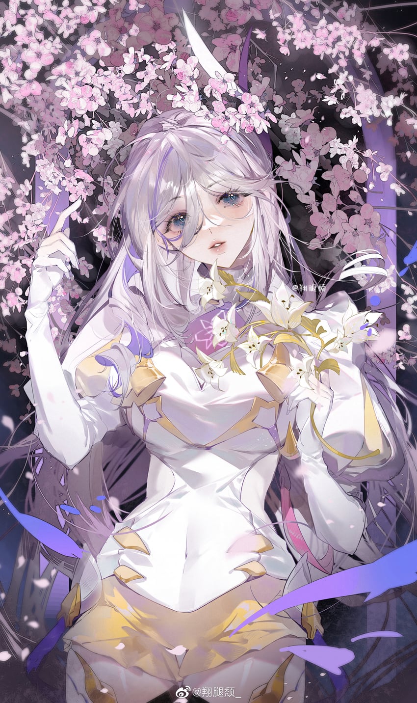 misteln schariac (honkai and 1 more) drawn by xiang_tui_tui