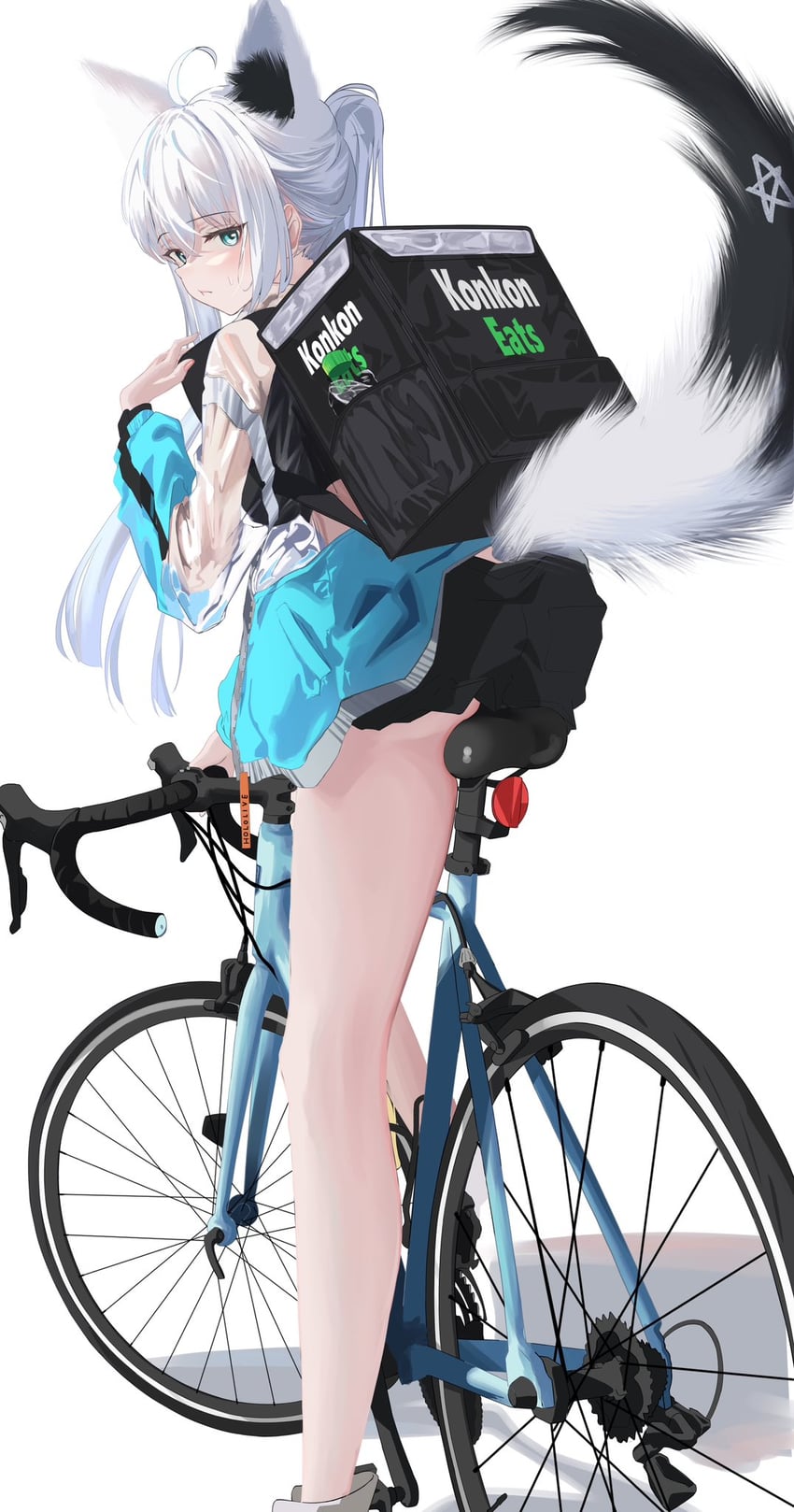 shirakami fubuki (hololive and 1 more) drawn by tanishi_(hetianming11093)