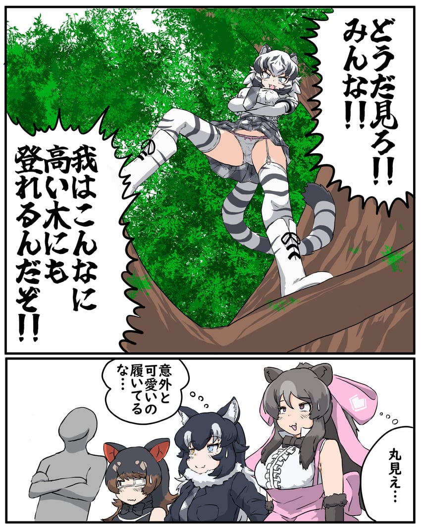 grey wolf, australian devil, bergman's bear, and white tiger (kemono friends) drawn by haro_(halo_kabe)