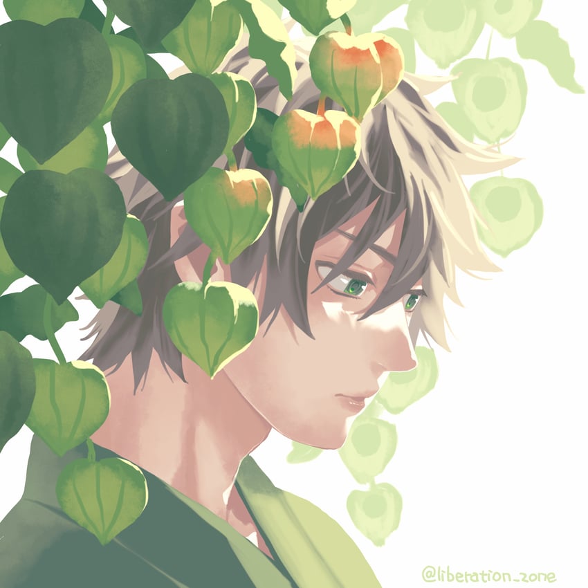 iwatani naofumi (tate no yuusha no nariagari) drawn by minami_seira