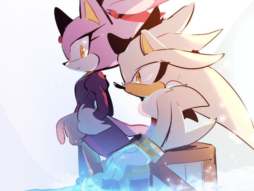 blaze the cat and silver the hedgehog (sonic and 1 more) drawn by weon1119