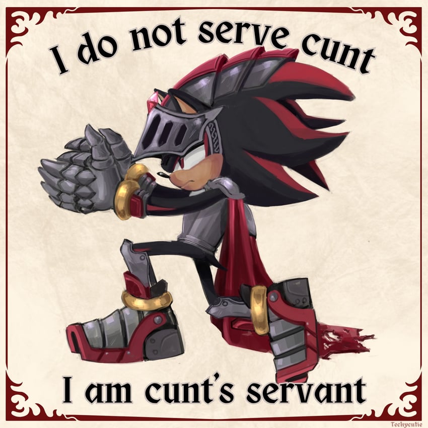 shadow the hedgehog and lancelot (sonic and 1 more) drawn by techy_cutie_(artist)