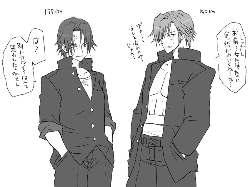 igarashi kyou and hasumi souji (seitenkango. shinyuu to) drawn by eroe