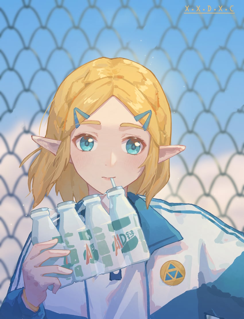 princess zelda (the legend of zelda and 1 more) drawn by x.x.d.x.c