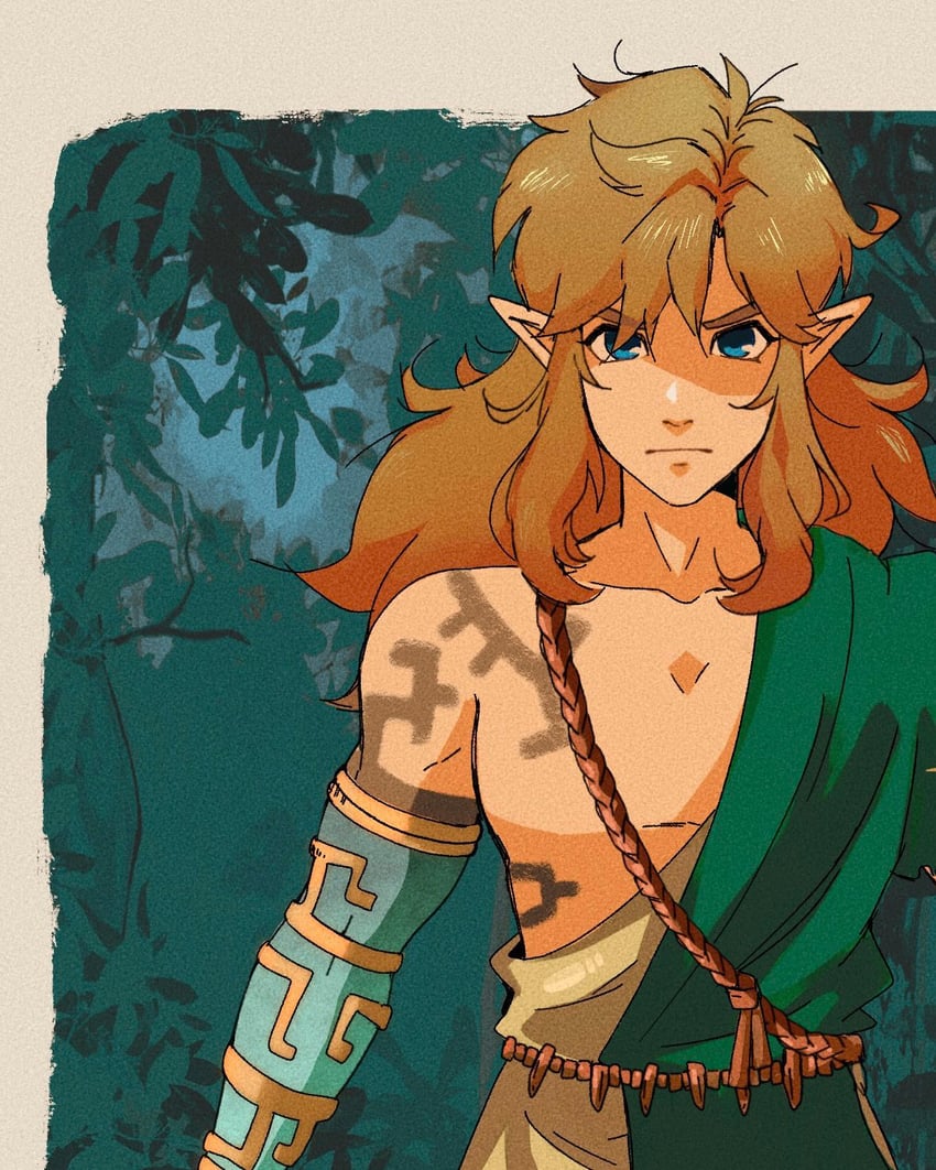 link (the legend of zelda and 1 more) drawn by softp3ach